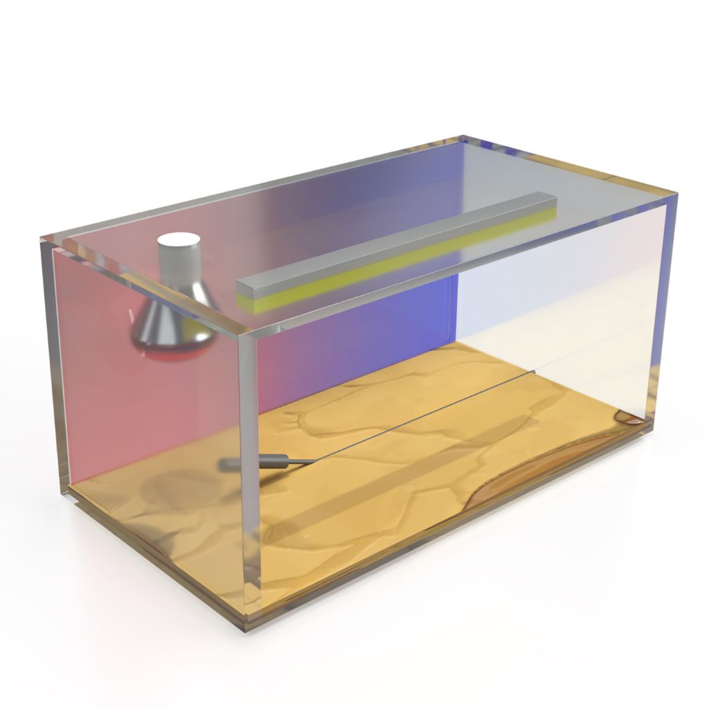 Bearded Dragon Care Sheet